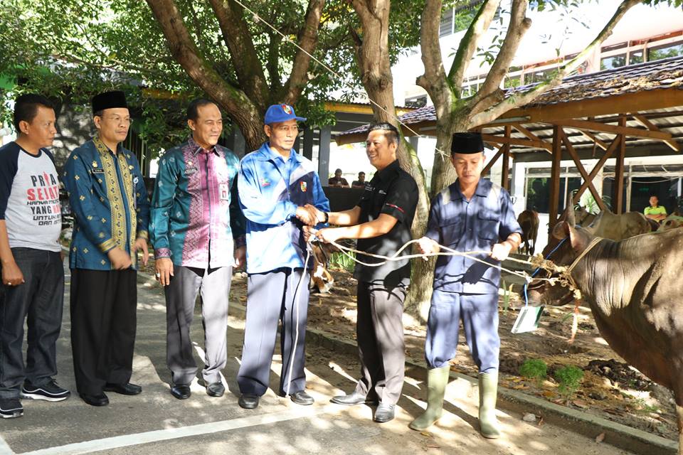 Pemko Pekanbaru Potong 25 Hewan Kurban